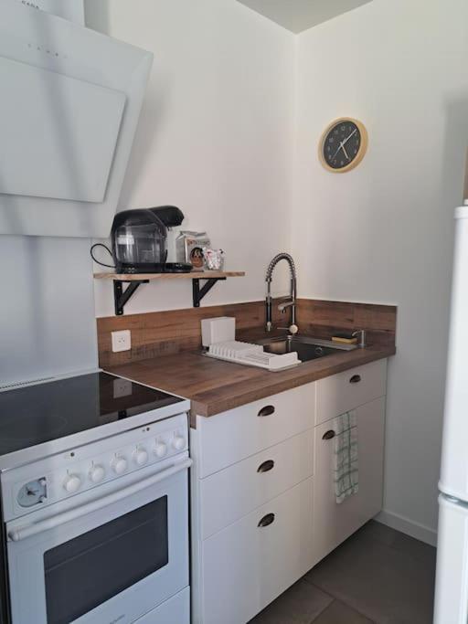 Apartment Dans Maison Avec Jardin Et Balcon, Au Calme Serezin-du-Rhone