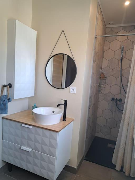 Dans Maison Avec Jardin Et Balcon, Au Calme Apartment Serezin-du-Rhone